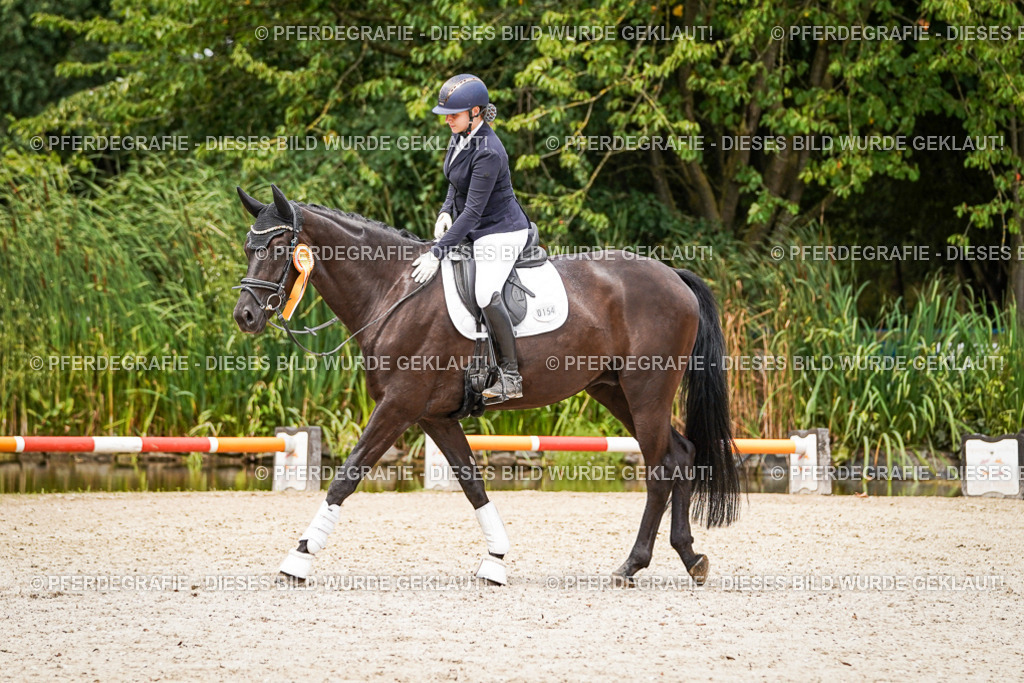 DSC04664 | Pferdegrafie