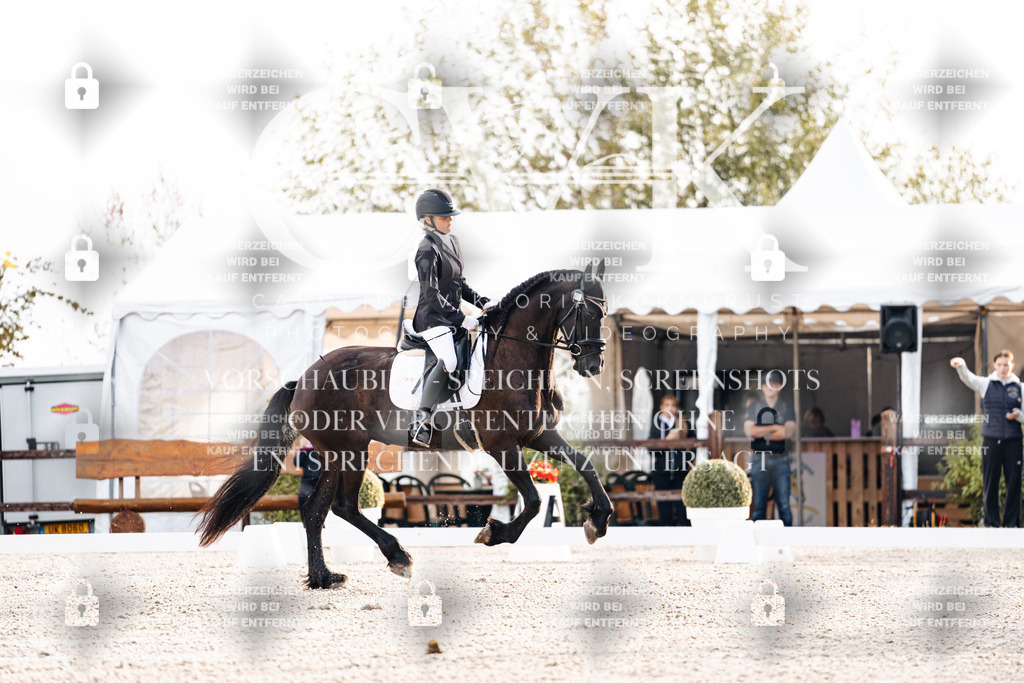 CK900298 | Turnierfotografie Pferdefotografie Trier Rheinland-Pfalz Pferdesport Reitsport Tierfotografie Sportfotografie Pferdevideo Pferdevideografie Equestrianvideography equestrianphotography  - Realisiert mit Pictrs.com