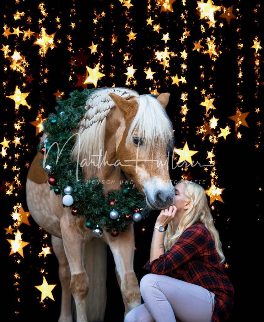 Weihnachts Shooting  | Weihnachts Fotografie im Pferdestall 