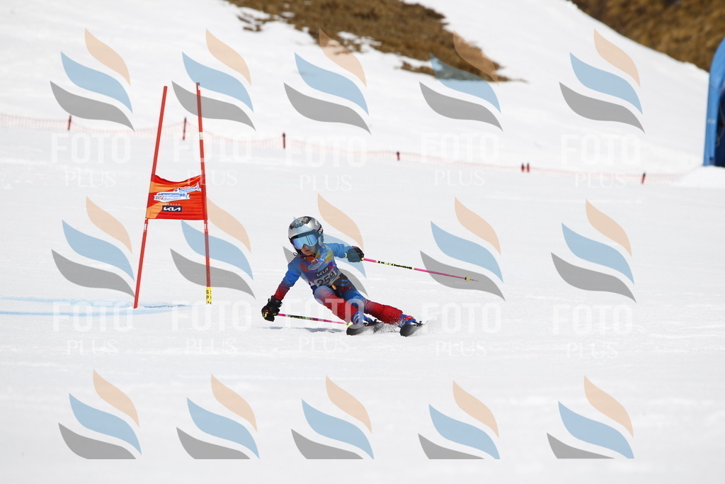 _U3G6501 | holidayphoto