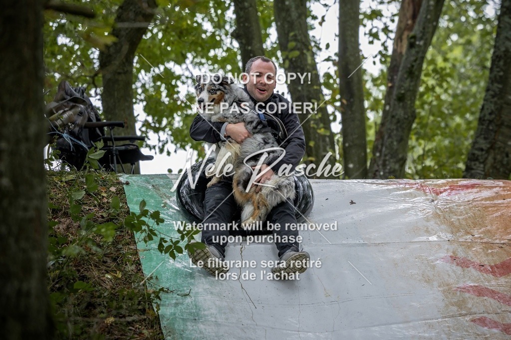nelerasche_Hunsrück_Sa0930-1000_472-final | nelerasche