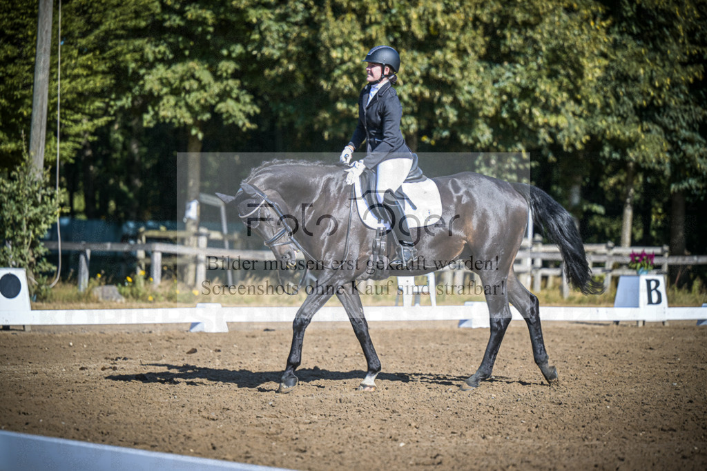 DOS_1717 | Entdecke hochwertige Reitturnierfotos von Foto Oger. Professionell, emotional und authentisch – jetzt Lieblingsmomente im Shop bestellen.Deutschlandweite Turnierfotografie. - Realisiert mit Pictrs.com