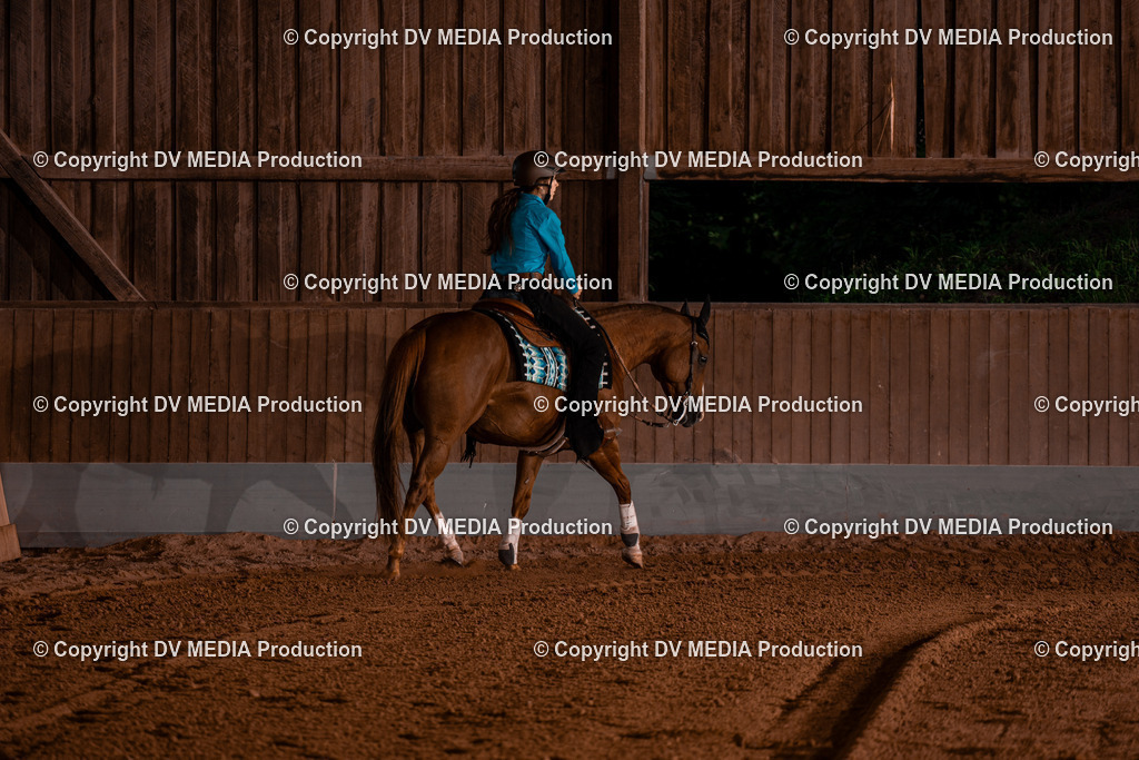 NE201531 | dv-media-shop - Realisiert mit Pictrs.com