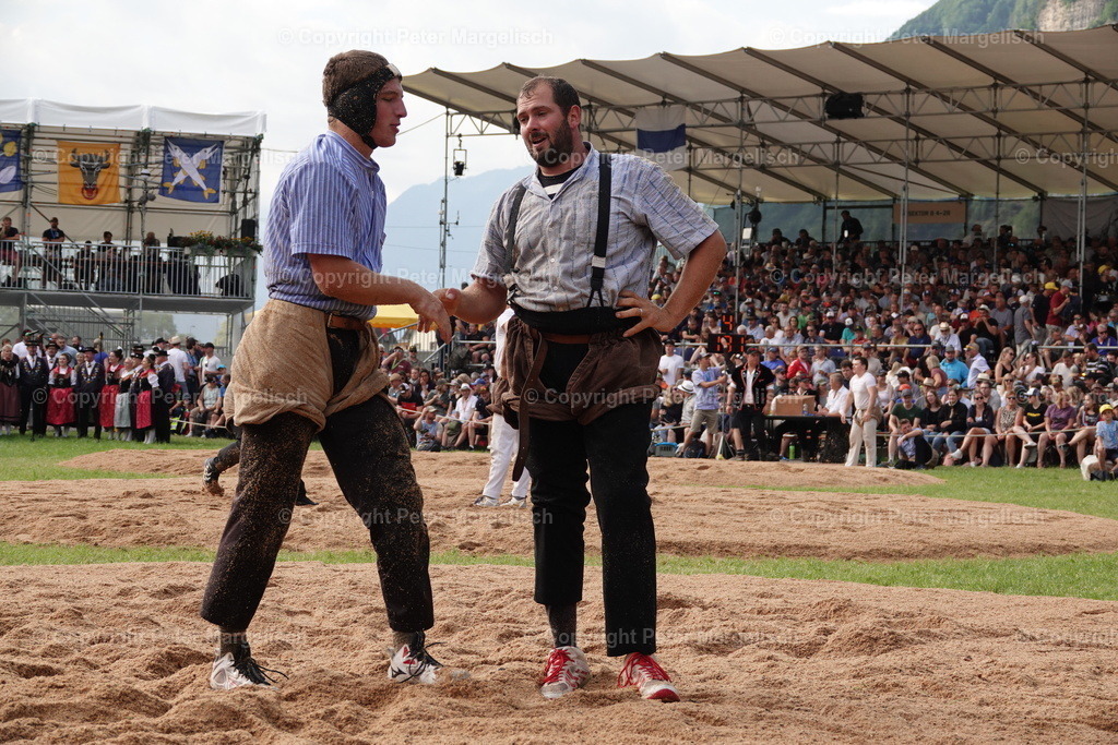 DSC01199 | Schwingen - Realisiert mit Pictrs.com