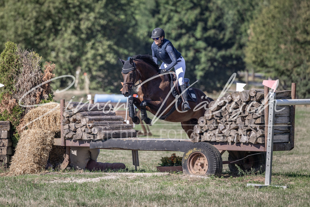 20260906-_3LI2377 | Tierfotografie Pferde, Hunde, Katzen, Haustiere.
Turnierfotografie Reitturniere, Reiten, Springreiten, Dressur in Hanau, dem Main-Kinzig-Kreis und dem Rhein-Main- Gebiet um Frankfurt
