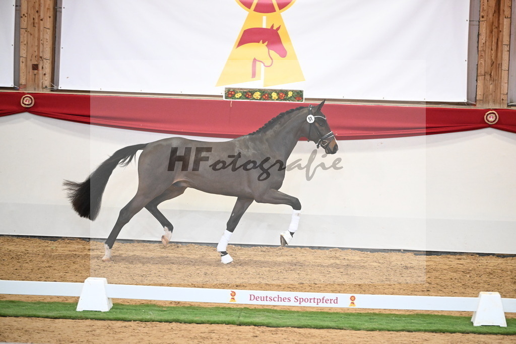 Kat.-Nr. 51 v. Donkey Boy_Lenzen_2250218 | hf-fotografie - Realisiert mit Pictrs.com
