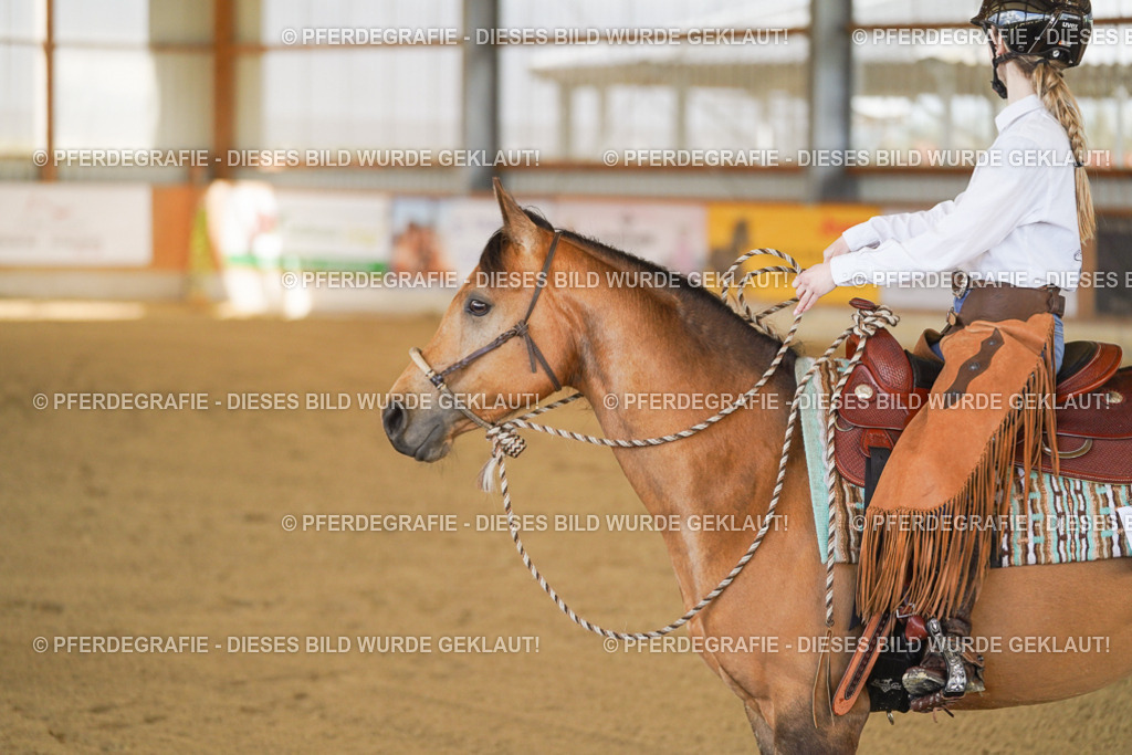 DSC07294 | Pferdegrafie