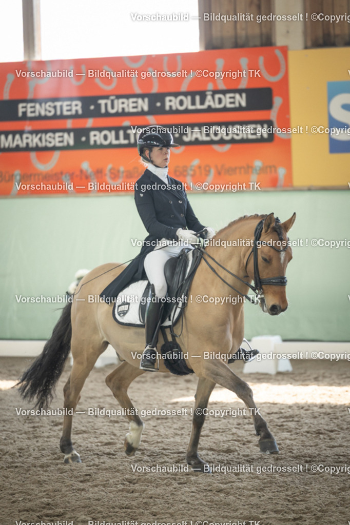 _D5A1758 | Emotionale Pferde- & People-Fotografie rund um Heidelberg, Leimen & Umgebung. Natürliche Fotos von Pferd, Mensch & Familie. Jetzt Termin sichern!