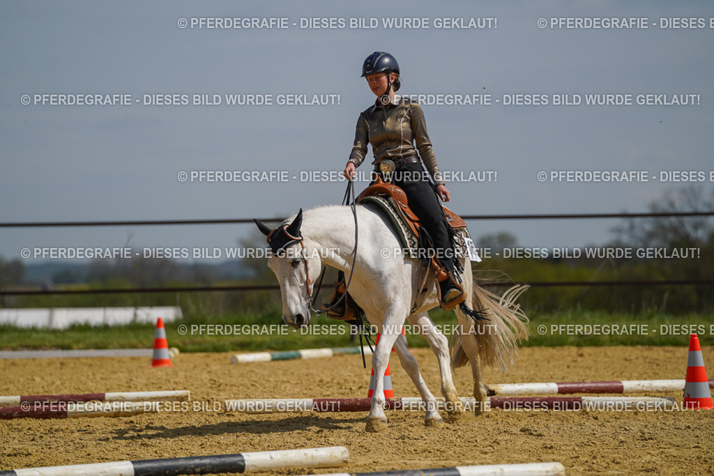 DSC04754 | Pferdegrafie