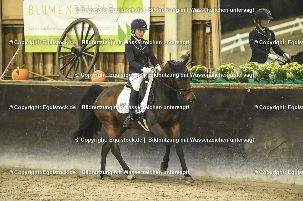 20231029_05_Dressur-A_0078 | Foto: Thomas Hartig