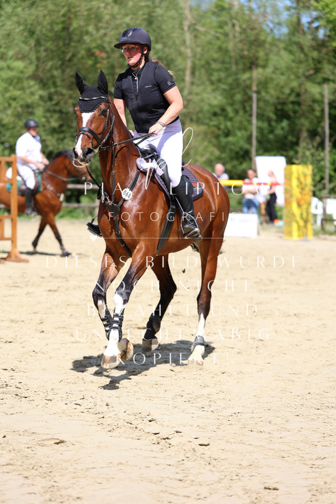 IMGS9697 | pl-fotografie