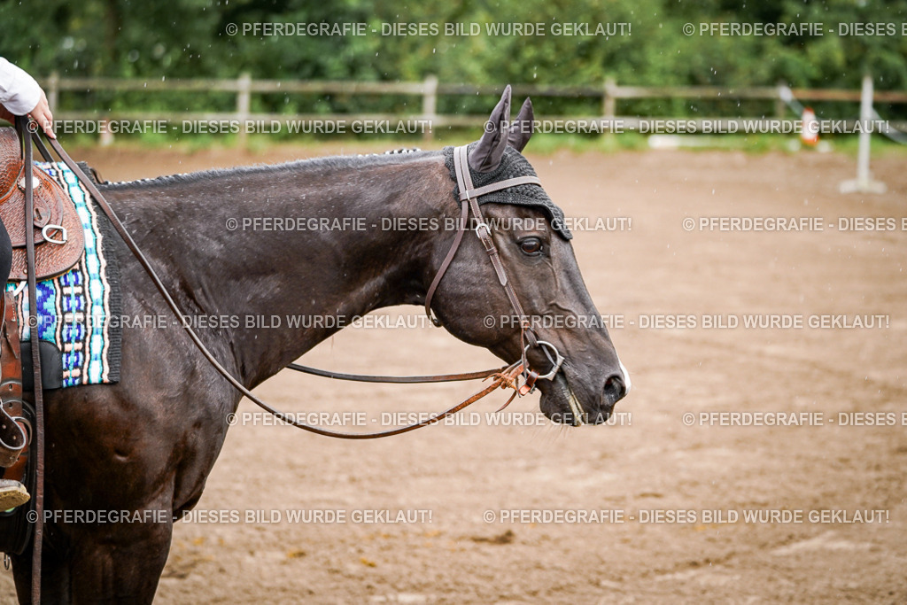 DSC05465 | Pferdegrafie