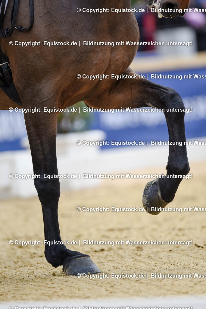 20250607_1_GP-Tour_Dressage_0096 | Foto: Thomas Hartig