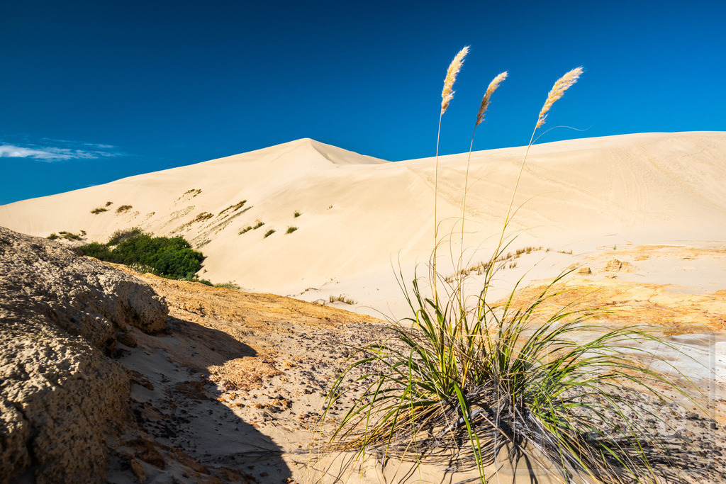 Neuseeland 2018/19 | Giant Sand Dunes, Cape Reinga, New Zealand - Realisiert mit Pictrs.com