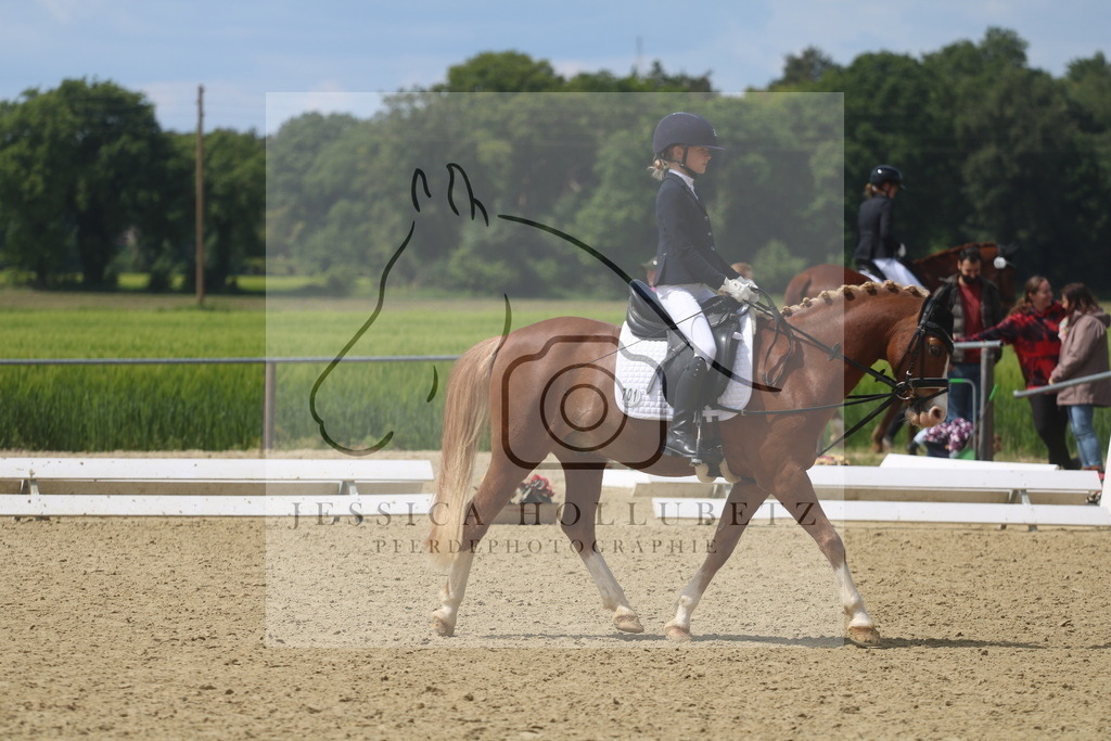 IMG_3918 | jessicahollubetz_pferdephotographie - Realisiert mit Pictrs.com
