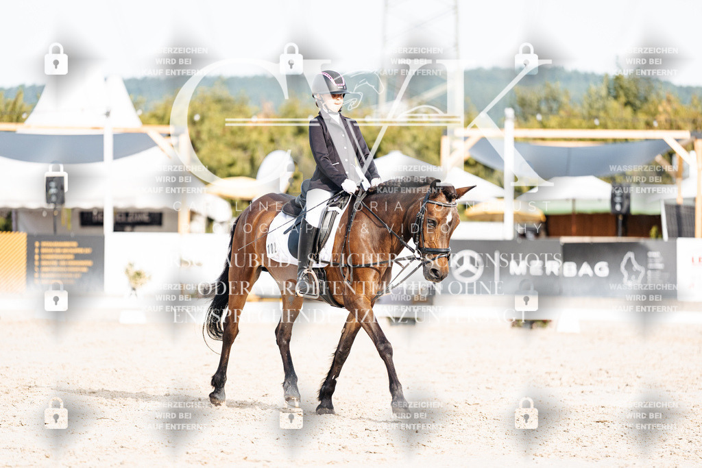 CK904762 | Turnierfotografie Pferdefotografie Trier Rheinland-Pfalz Pferdesport Reitsport Tierfotografie Sportfotografie Pferdevideo Pferdevideografie Equestrianvideography equestrianphotography  - Realisiert mit Pictrs.com