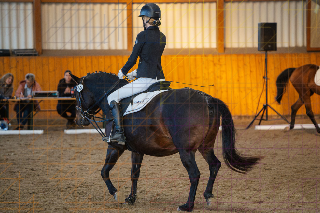202609260910DSC06516 | Mario Konang lightrecords.de - Realisiert mit Pictrs.com