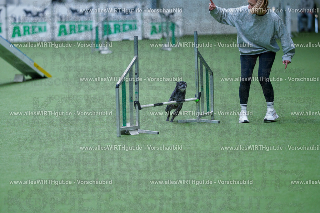 @allesWIRTHgut_Tierfotografie - www.allesWIRTHgut.de - 2604260919-7R507314 | Professionelle Tierfotografie in Mönchengladbach von Daniel Wirth (allesWIRTHgut). Liebevolle & natürliche Bilder von Hunden & Katzen für unvergessliche Erinnerungen.