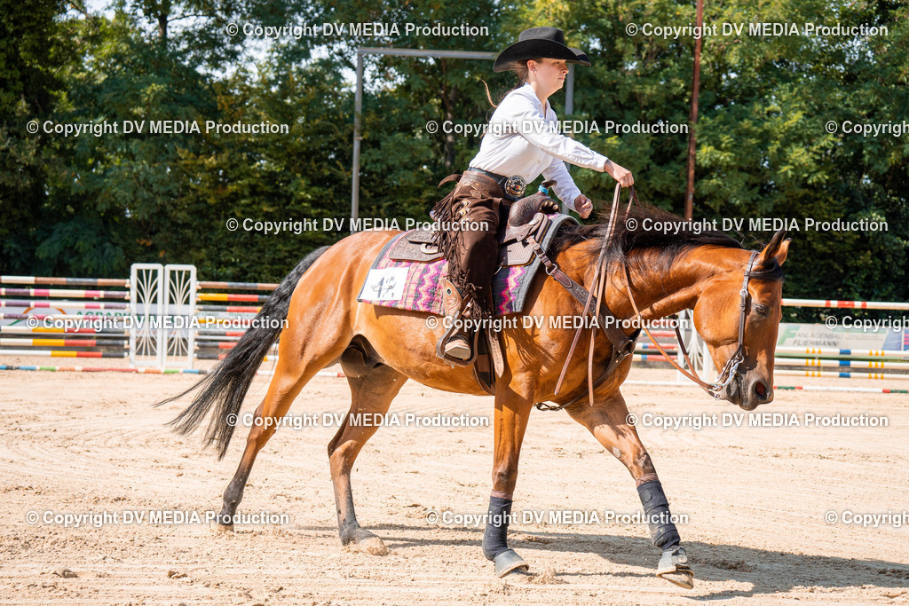 ZH100241 | dv-media-shop - Realisiert mit Pictrs.com