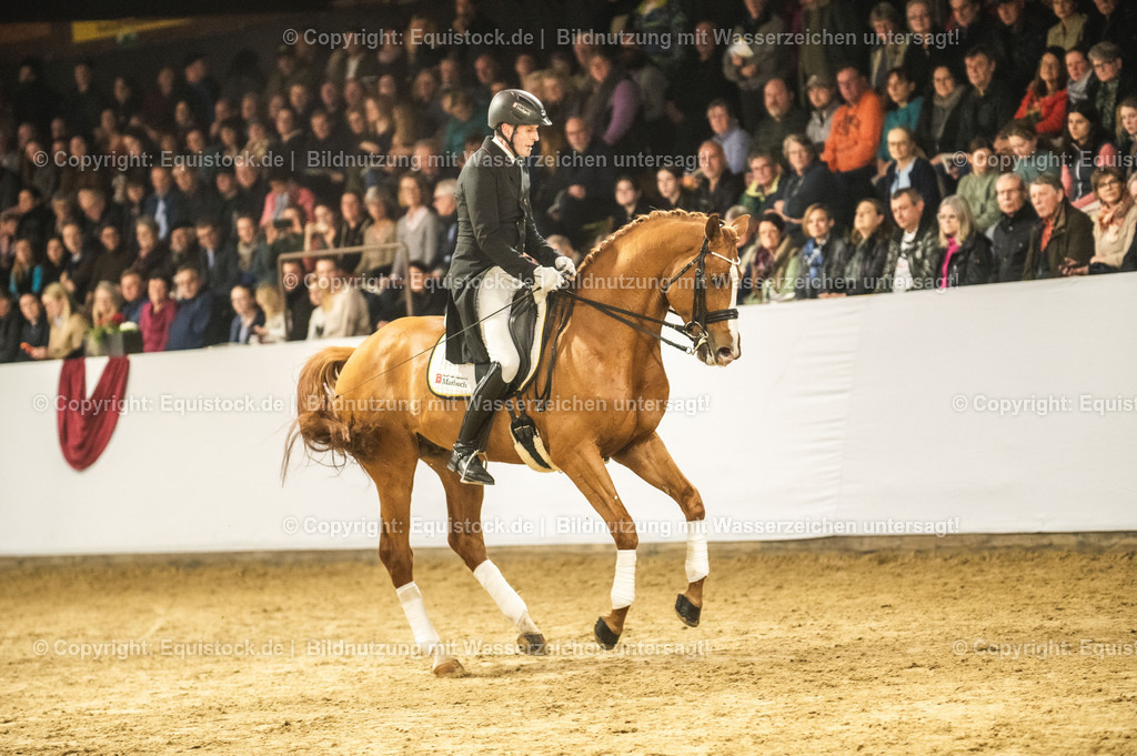 20240302_Hengstvorstellung_Marbach_TOMsPiC_0915 | equistock