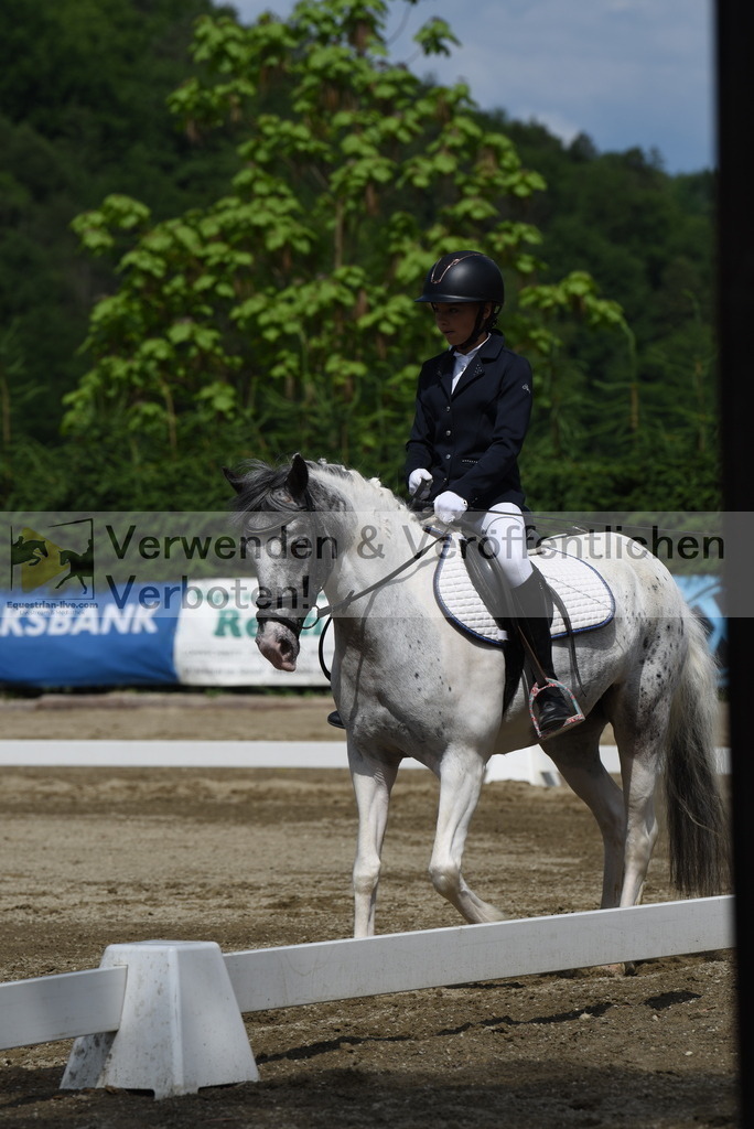 DSC_8800 | equestrian-live-com
