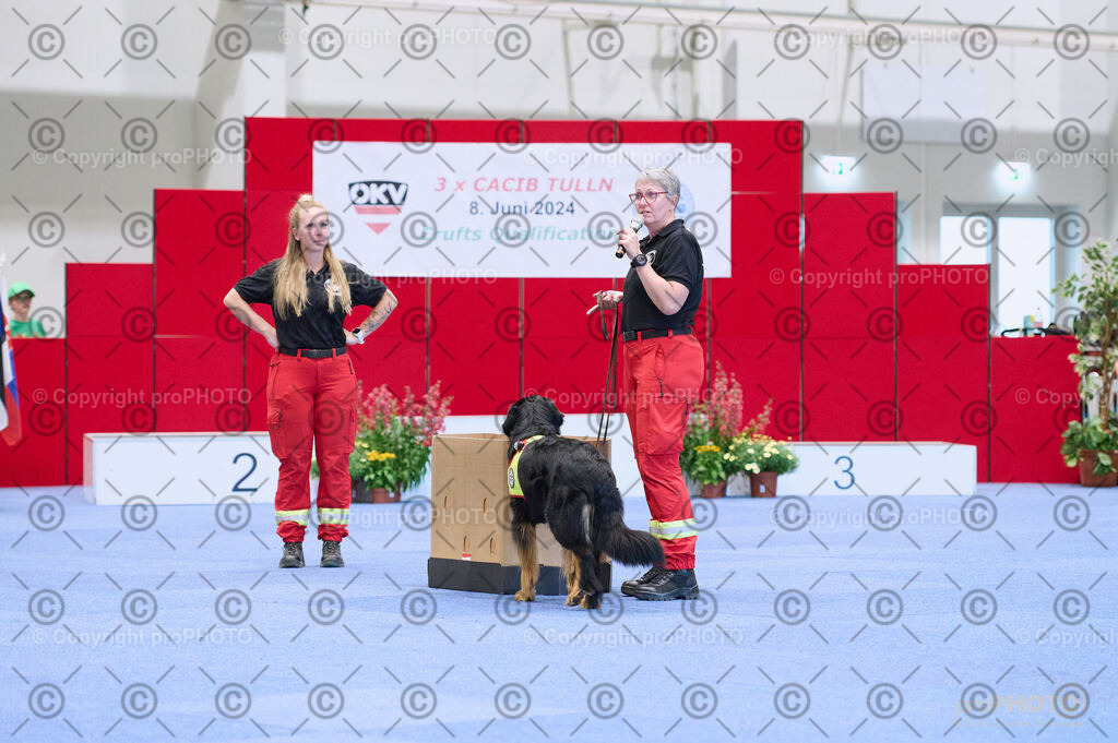 202406_ÖKV-IHA-Tulln24_DSC_3483 | proPHOTO - Realisiert mit Pictrs.com