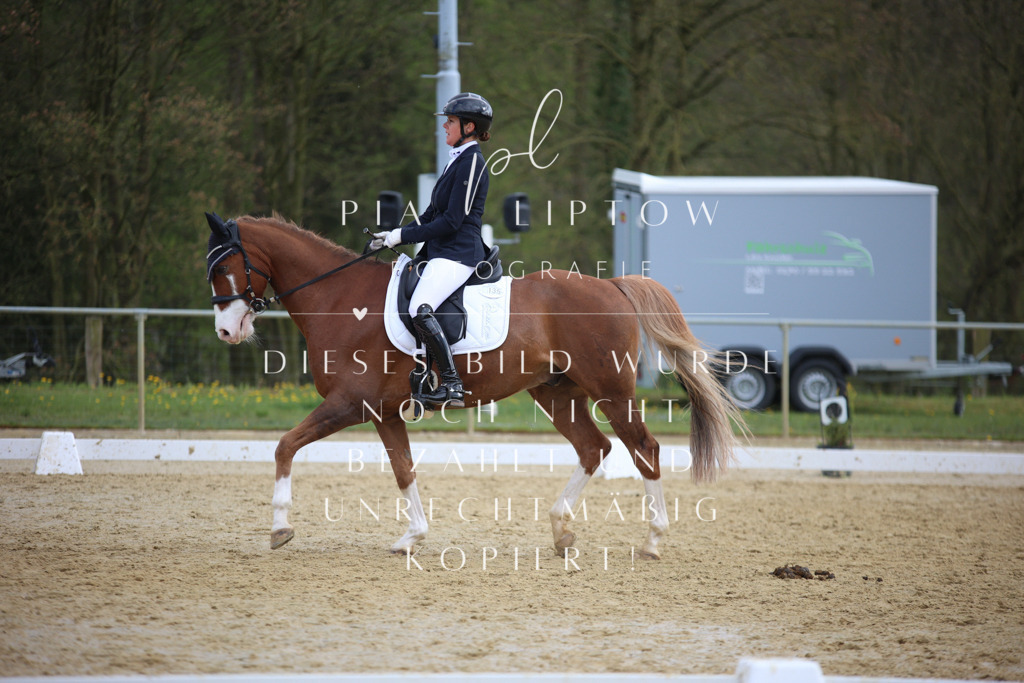 IMGT6841 | pl-fotografie