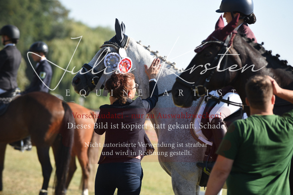 DSC_5467 | Pferde- und Turnierfotografie in Westsachsen. Pferdeportraits, Auftragszeichnungen und intuitive Kunst.