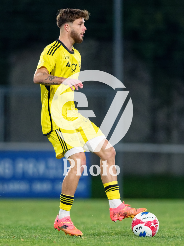 dieci Challenge League - FC Stade Nyonnais v FC Vaduz |  during the dieci Challenge League match between FC Stade Nyonnais and FC Vaduz at Centre sportif de Colovray in Nyon, Switzerland