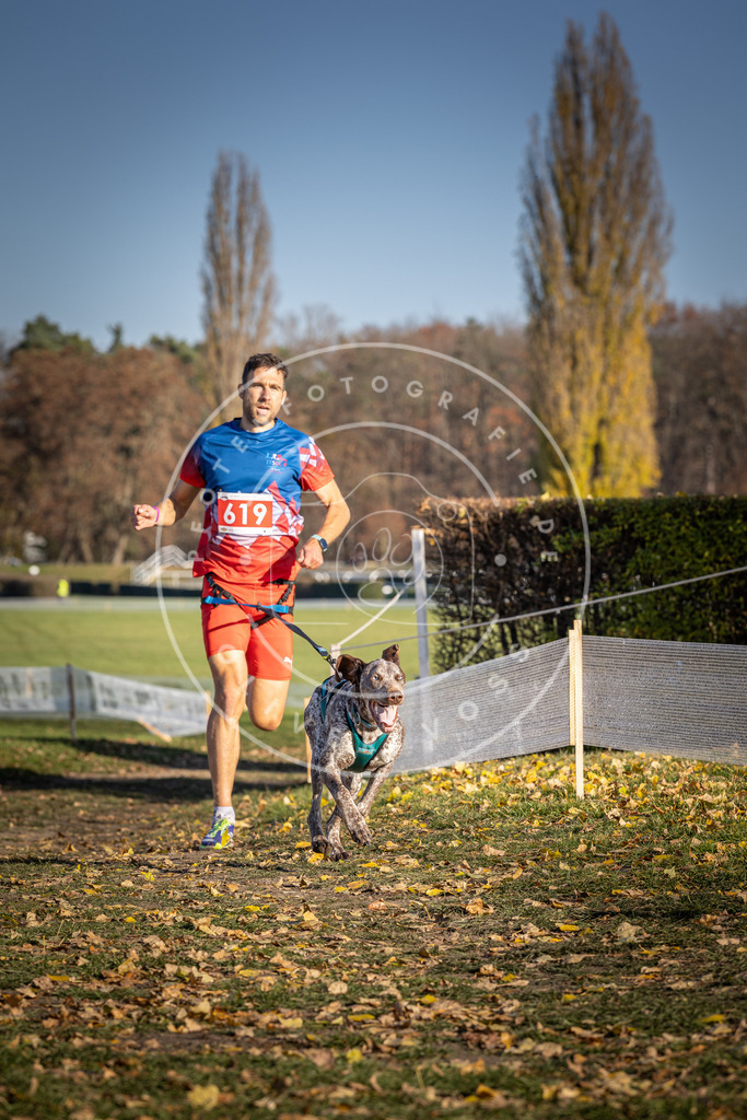 CaniXpix_DV3A9865 | Hundefotografie, Tierfotograf, Pfotenfotografie, Fotoshooting Hund, Hunde Portrait, Hundesport, Hundeportraits, Heideshooting, Hunde, Sportfotograf, Hundefotograf, Turnierhundsport, THS,  - Realisiert mit Pictrs.com