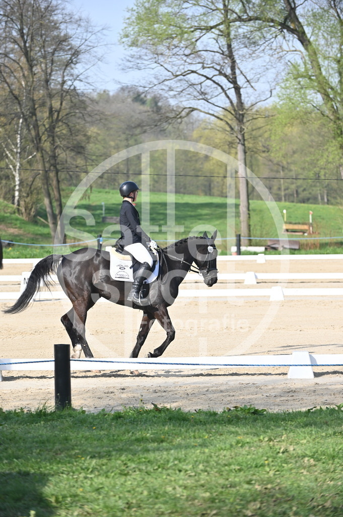 DSC_0141 | sattelsport - Realisiert mit Pictrs.com