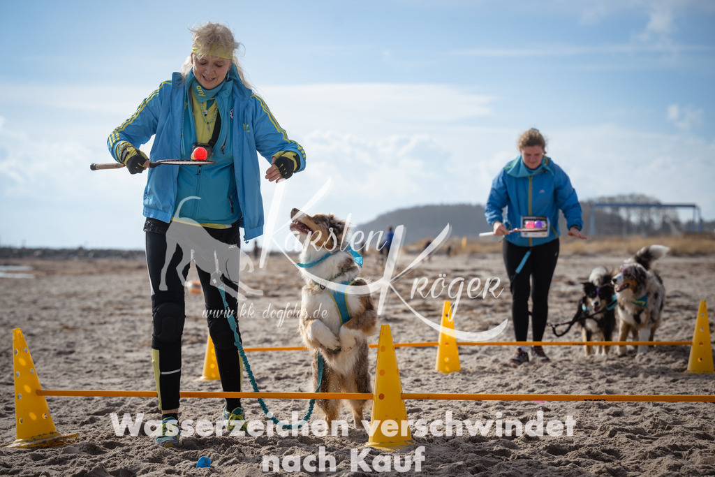1239_ZZ97985 | kk-dogfotos