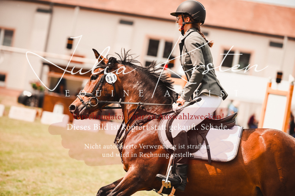 DSC_6904 | Pferde- und Turnierfotografie in Westsachsen. Pferdeportraits, Auftragszeichnungen und intuitive Kunst.