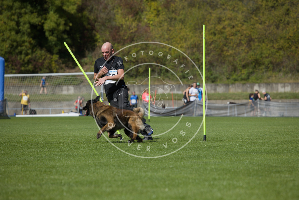 0L8A6359 | Hundefotografie, Tierfotograf, Pfotenfotografie, Fotoshooting Hund, Hunde Portrait, Hundesport, Hundeportraits, Heideshooting, Hunde, Sportfotograf, Hundefotograf, Turnierhundsport, THS,  - Realisiert mit Pictrs.com