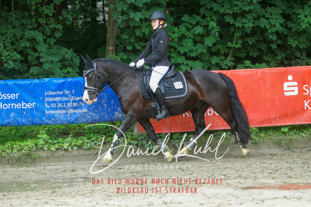 DKP44752 | Turniersportfotografie; Pferdefotografie; Dressurfotografie