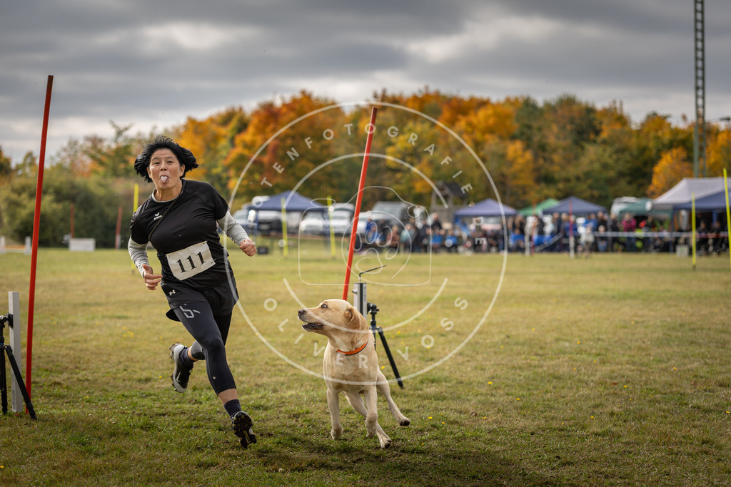 Pfotenfotografie_DV3A7157 | Hundefotografie, Tierfotograf, Pfotenfotografie, Fotoshooting Hund, Hunde Portrait, Hundesport, Hundeportraits, Heideshooting, Hunde, Sportfotograf, Hundefotograf, Turnierhundsport, THS,  - Realisiert mit Pictrs.com