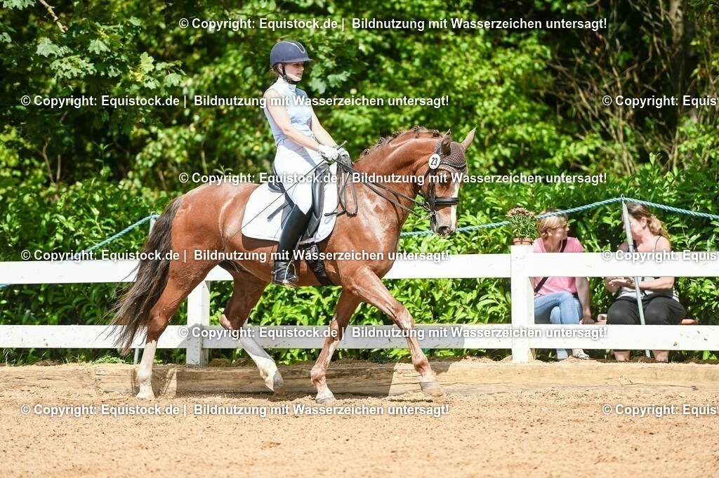 20230716_01_Dressurprüfung Kl.M_0238 | equistock