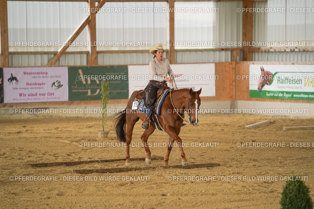 DSC03974 | Pferdegrafie