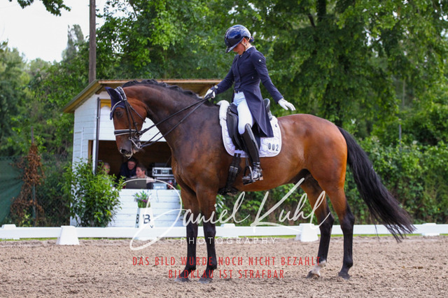 DKP41437 | Turnierfotos kaufen im Webshop von Daniel Kuhl Photography – entdecke professionelle Reitsportfotos aus Turnieren & Events. Hochwertige Turnierbilder online bestellen & sichern. Jetzt Fotos von Reitsportturnieren kaufen!