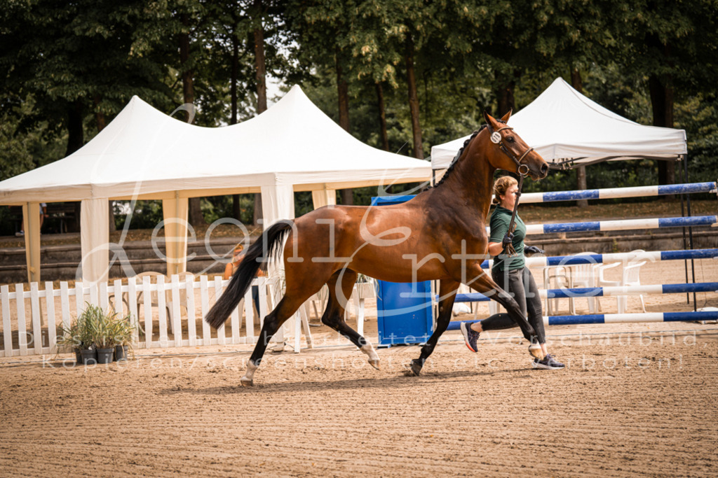 4.Fr00098 | Leoni Ertmer Photography - Realisiert mit Pictrs.com