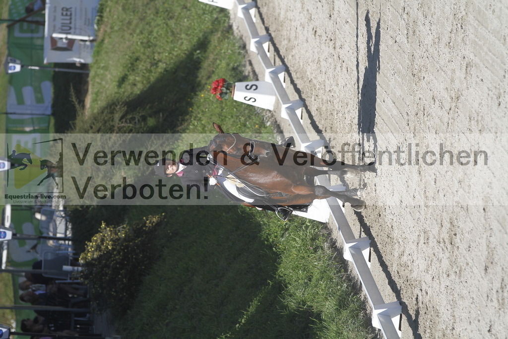 _MG_2665 | equestrian-live-com