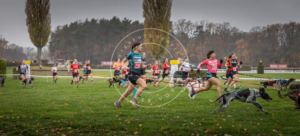 CaniXpix_DV3A8803 | Hundefotografie, Tierfotograf, Pfotenfotografie, Fotoshooting Hund, Hunde Portrait, Hundesport, Hundeportraits, Heideshooting, Hunde, Sportfotograf, Hundefotograf, Turnierhundsport, THS,  - Realisiert mit Pictrs.com
