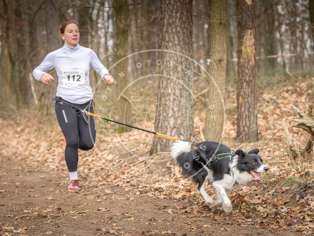 Pfotenfotografie_DV3A7708 | Hundefotografie, Tierfotograf, Pfotenfotografie, Fotoshooting Hund, Hunde Portrait, Hundesport, Hundeportraits, Heideshooting, Hunde, Sportfotograf, Hundefotograf, Turnierhundsport, THS,  - Realisiert mit Pictrs.com