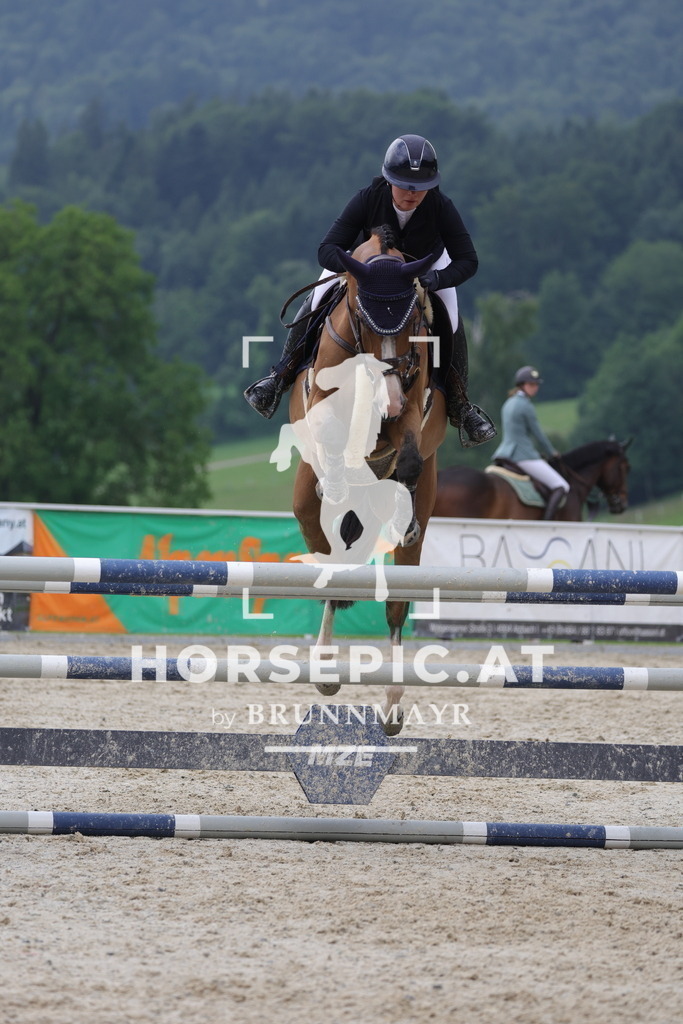 0P6A4512 | Willkommen bei Brunnmayr - Design & Fotografie – Ihrem Spezialisten für Reitturniere und Pferdeveranstaltungen in Oberösterreich, Salzburg und Bayern! Seit über 17 Jahren sind wir leidenschaftlich dabei.