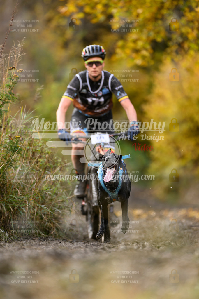 MompixPhotography_ICF_WC_2024_SA_Bike_-234 | PayLife