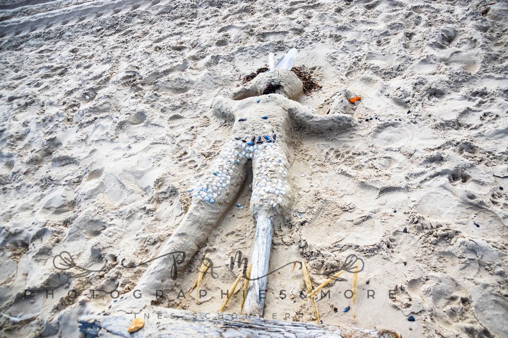 _Grenen22-1687 | Photographies and more - Realisiert mit Pictrs.com