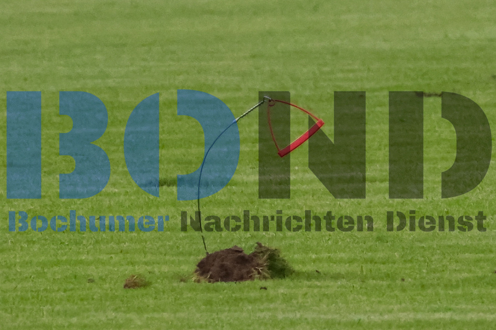 SES_RRGLAT20250722-21 | bond - Realisiert mit Pictrs.com