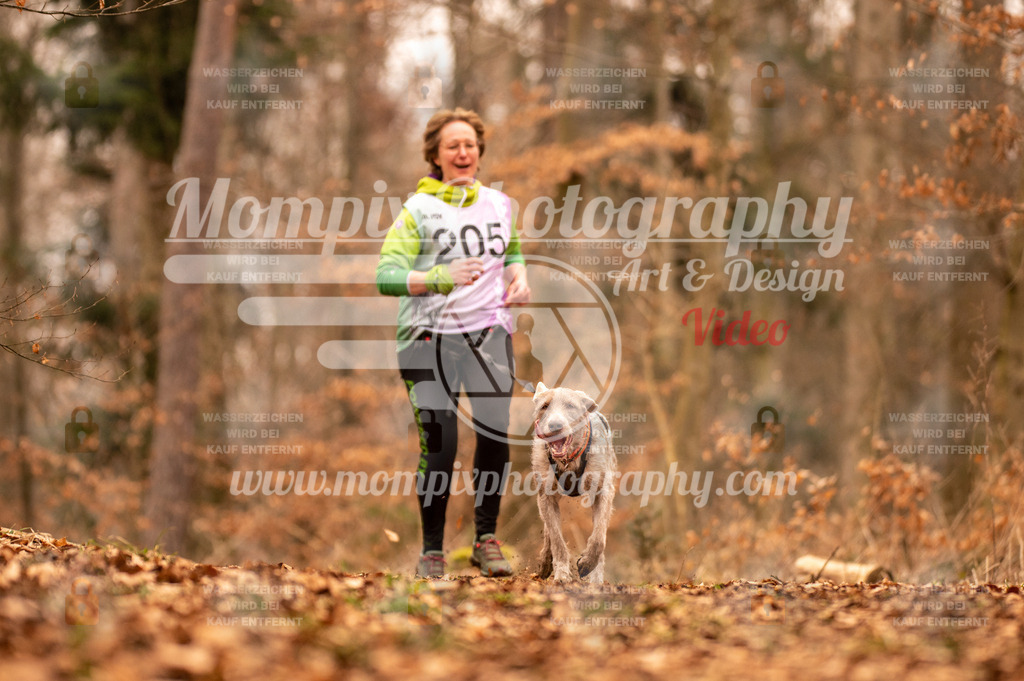 AKM_ST_2023_SAM_Run-2 | PayLife