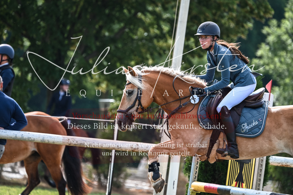 DSC_7933 | Pferde- und Turnierfotografie in Westsachsen. Pferdeportraits, Auftragszeichnungen und intuitive Kunst.
