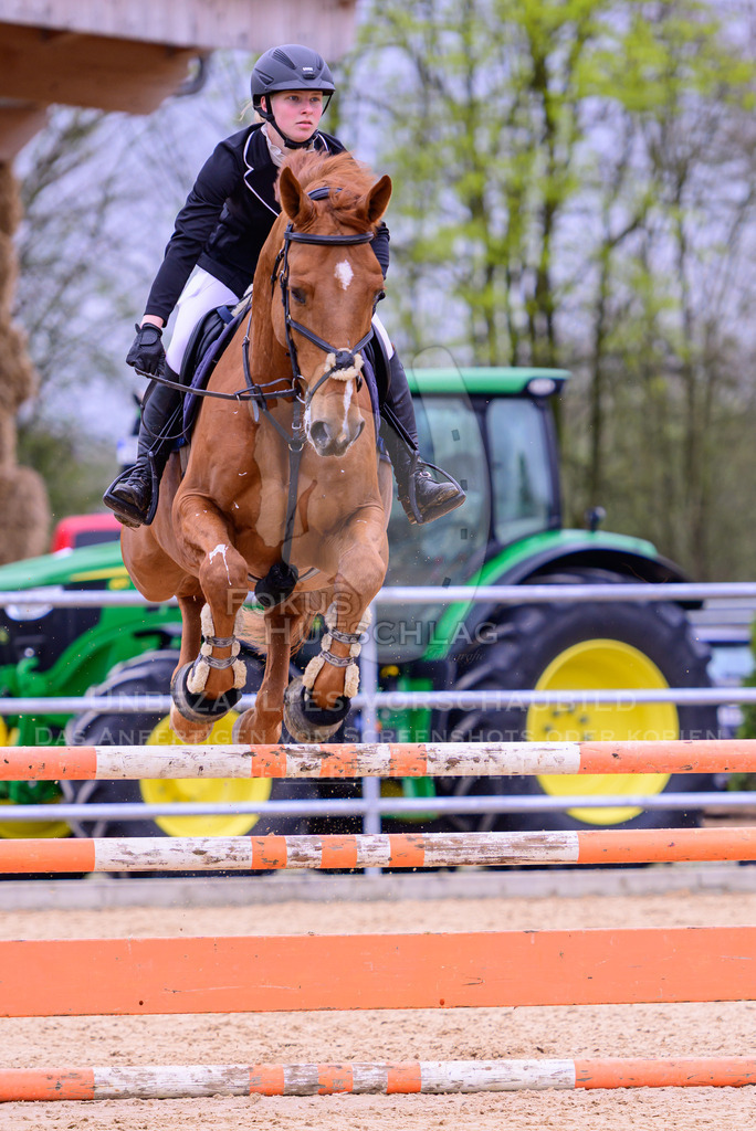 12042026-Mammendorf-Prfg39-0270 | Fokus Hufschlag Fotografie - Realisiert mit Pictrs.com